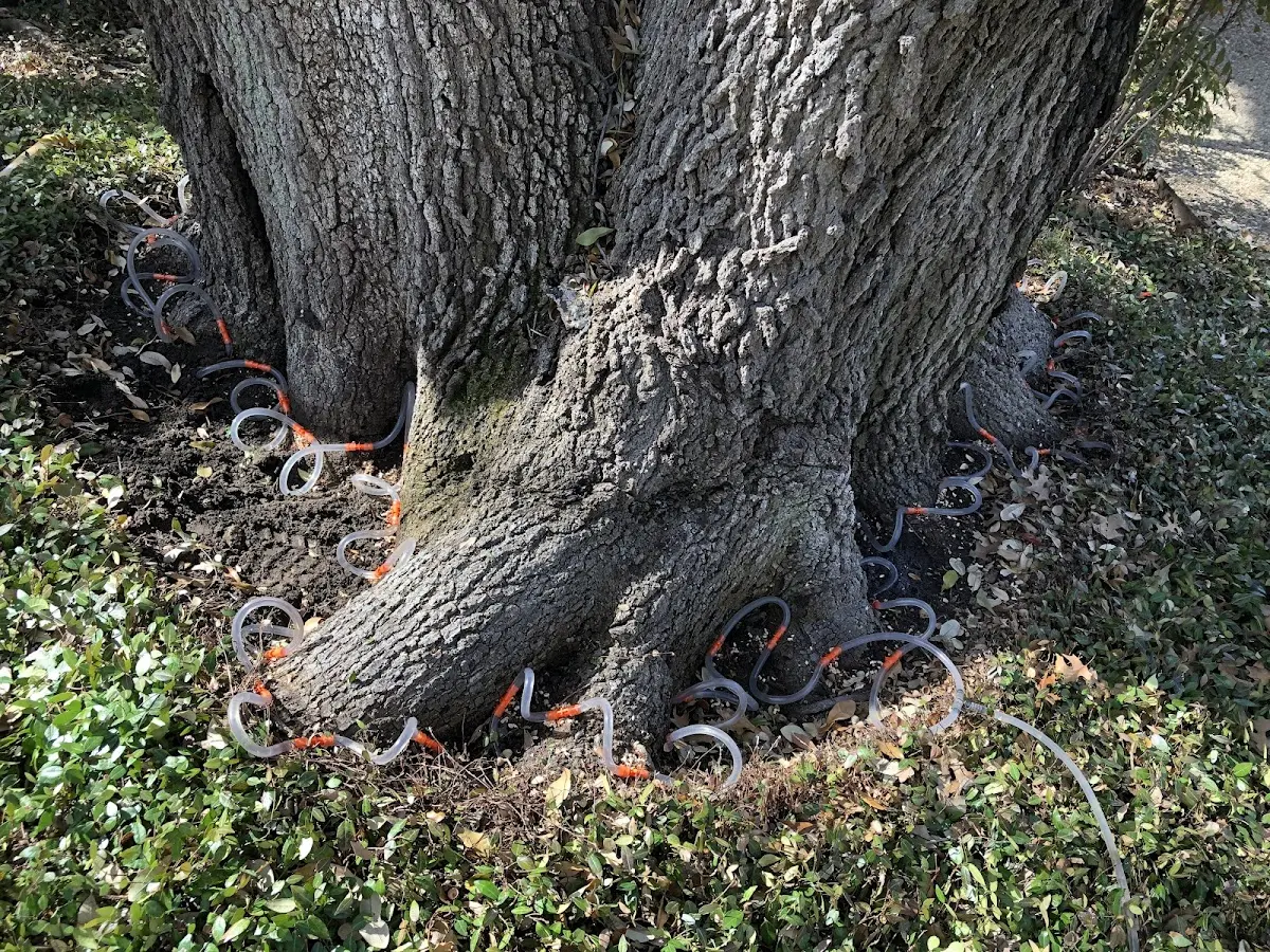 Detailed Shrub and Hedge Trimming job site in North Pole